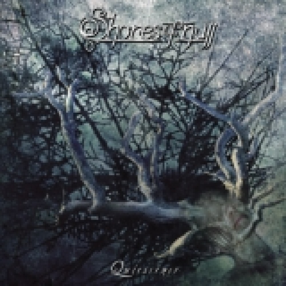 Shores Of Null - Qiescence